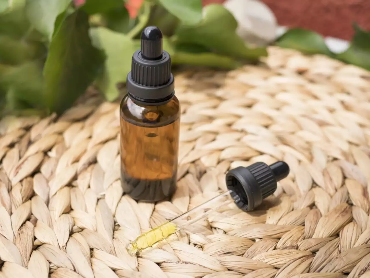 CBD oil bottle
