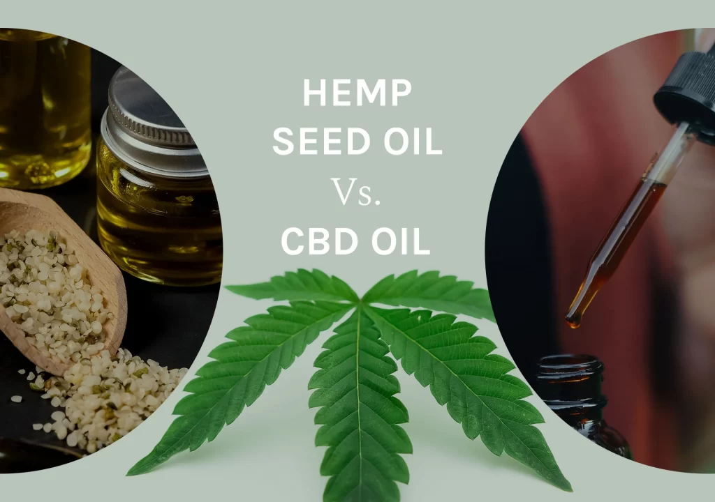 hemp seed oil vs CBD oil