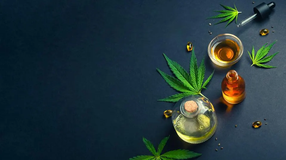 CBD oil