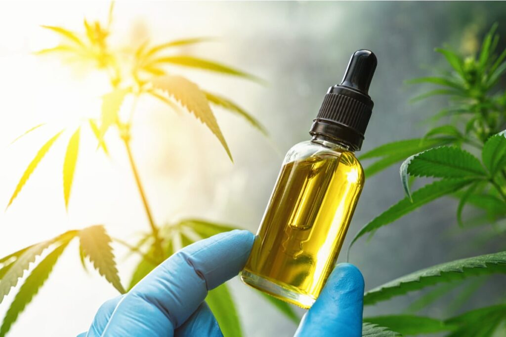 CBD oil bottle